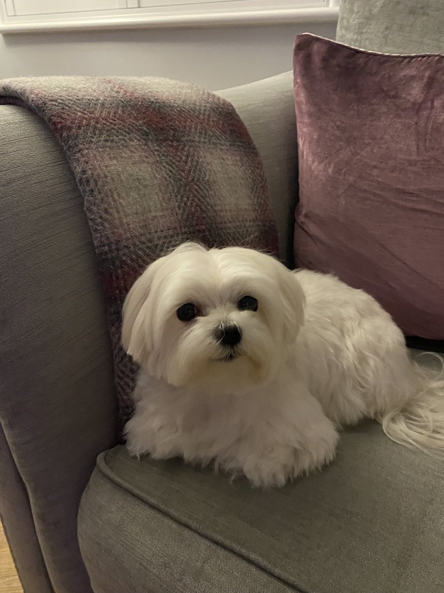 Lucy Hesketh tweet media