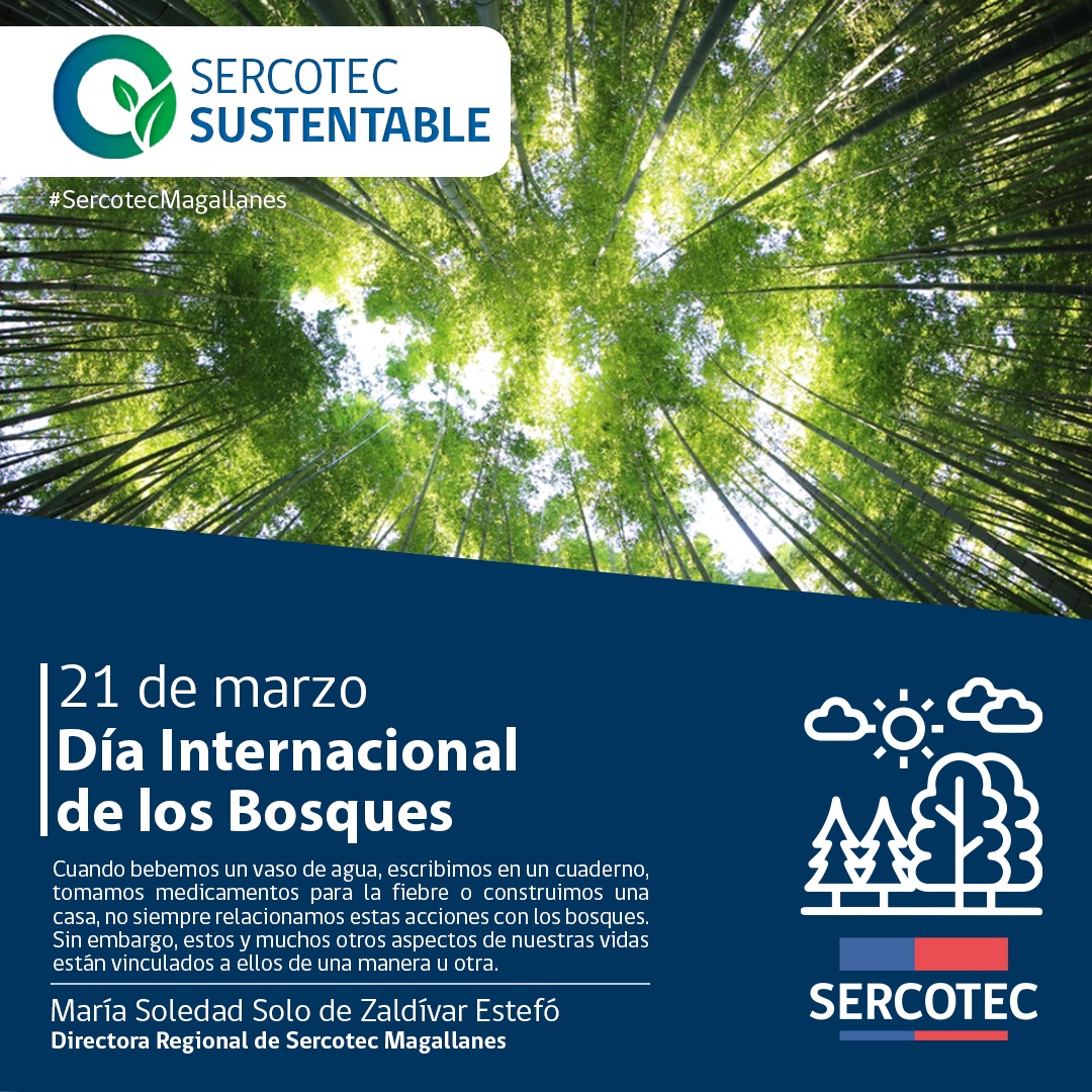 HOY es el día internacional de los bosques 🌱
Como Sercotec, estamos comprometidos con la sustentabilidad. 🌲 
🌳¿Y tú qué acciones tomas para mantener la sustentabilidad y cuidar el medio ambiente? 🌳
#SercotecMagallanes #SercotecSustentable #medioambiente