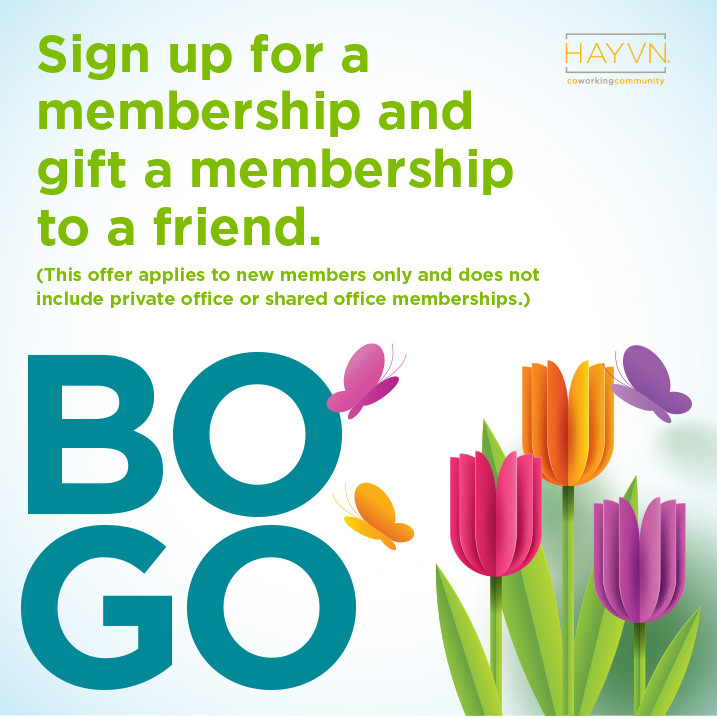 HAYVN Coworking tweet media