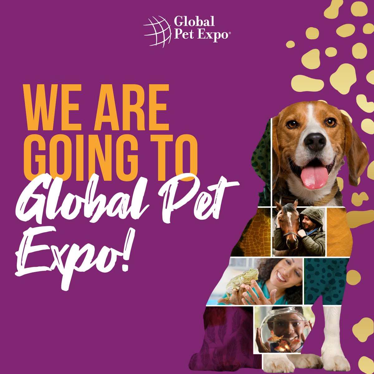 We’re attending <a href="/GlobalPetExpo/">Global Pet Expo</a> in Orlando this week! We help pet businesses sync scheduling and payments with powerful CRM tools and more. Meet us at the show to see how <a href="/MyTime/">MyTime</a> can help your pet business grow. Book a meeting: bit.ly/gpe-2022  #MyTime #GlobalPetExpo