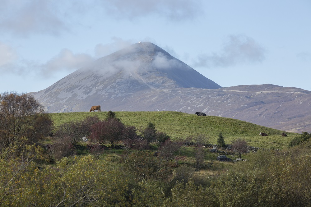 MayoDotIE's tweet photo. 📍 Croagh Patrick

#PhotoOfTheDay #MayoDay #HomeToMayo https://t.co/NRPb2WAsV2