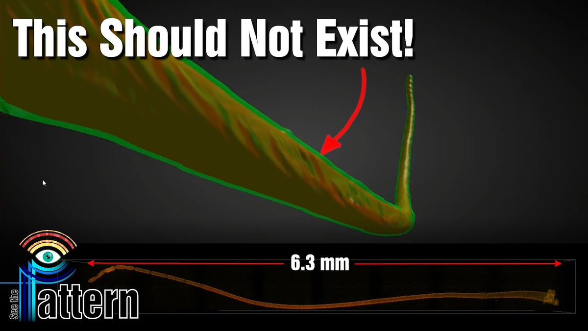 PatternSeethe's tweet image. buff.ly/3D0avvo