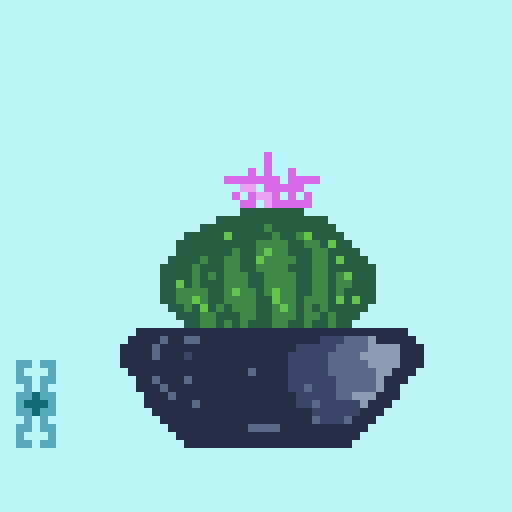 PaolassoUmberto's tweet photo. SPOILER π΅π΅π΅
NEW SET OF MINI BARREL CACTUS ππ΅
In the next day I'm going to talk about some special pieces of the collection and the creative processπ
#NFT #NFTCommunity #NFTGiveaway #NFTartist #NatureBeauty #ROSE #Flowers #pixelart #projectplanfts https://t.co/vTbiD159yU