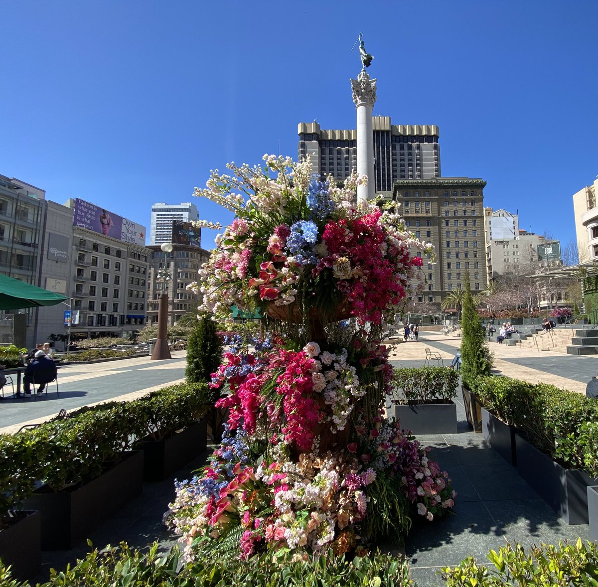 JennyGShao's tweet photo. #FirstDayOfSpring2022 https://t.co/yRLiswpVHe
