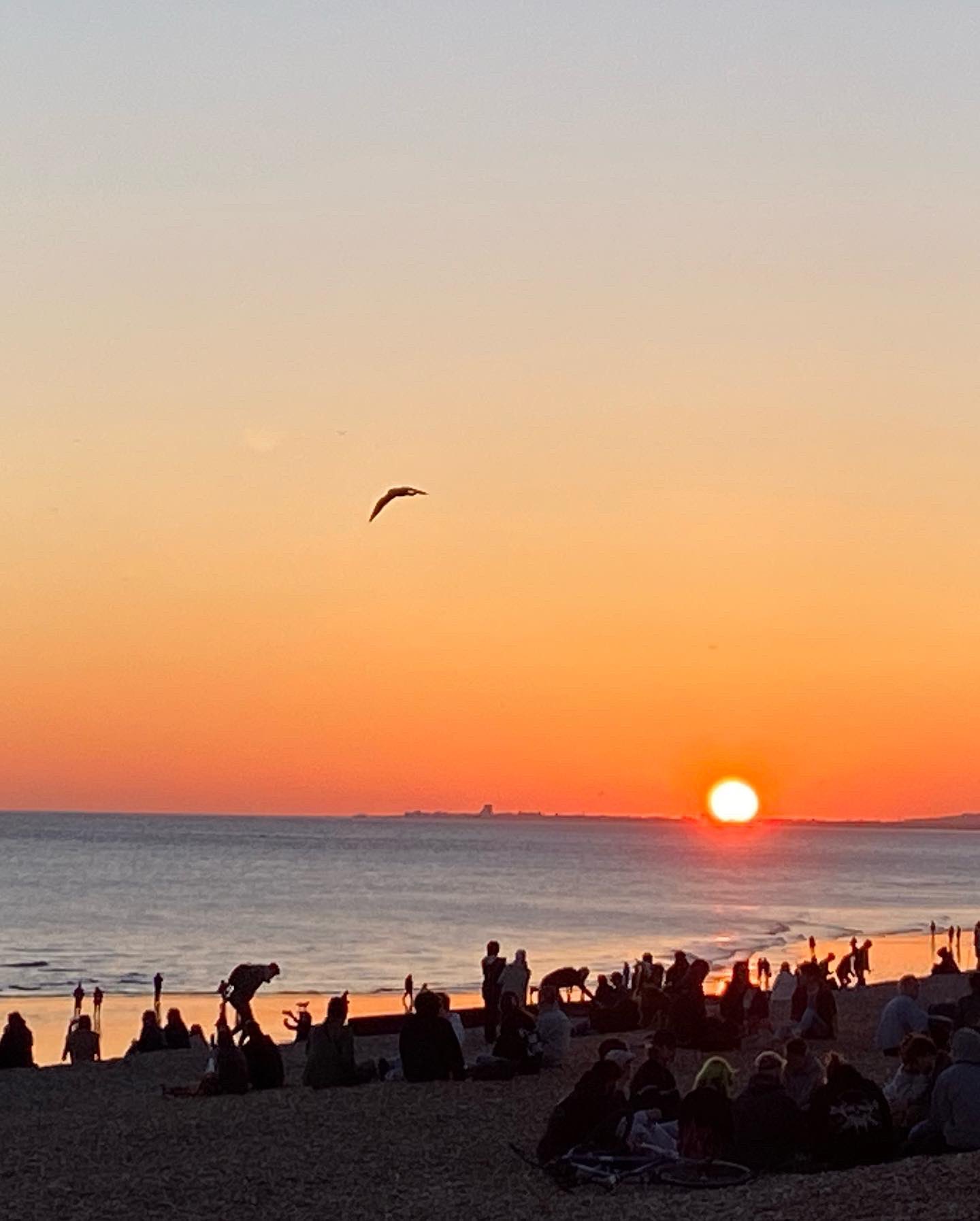 Chili on Twitter "Brighton https//t.co/mCc6qrp4Ud" / Twitter