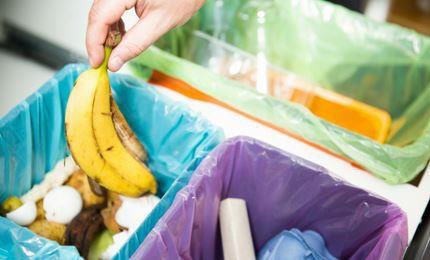 The State-mandated recycling of food waste is coming. Paramount will soon be rolling out a test program in targeted neighborhoods. To learn more, visit CalRecycle.ca.gov.