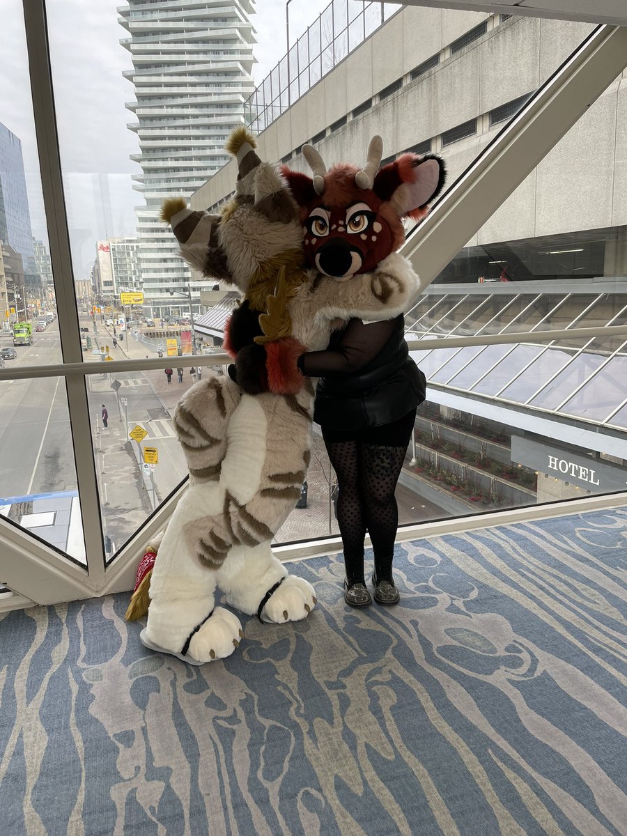 Leo_Nekozuki's tweet photo. Friends always know when to give hugs. And Tia, here, is surely good at that, hugging her comrade at #Furnal2022 (whom I know not the name of at this present time, lol)! :3

#FE2022
#PleaseTag
#RETROREWIND https://t.co/vQy7kPEMAu