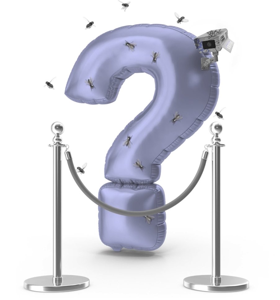 DOCJonathanPaul's tweet image. GM my on ⛓ fam. 

I’m about to have a ‘hello world’ moment…