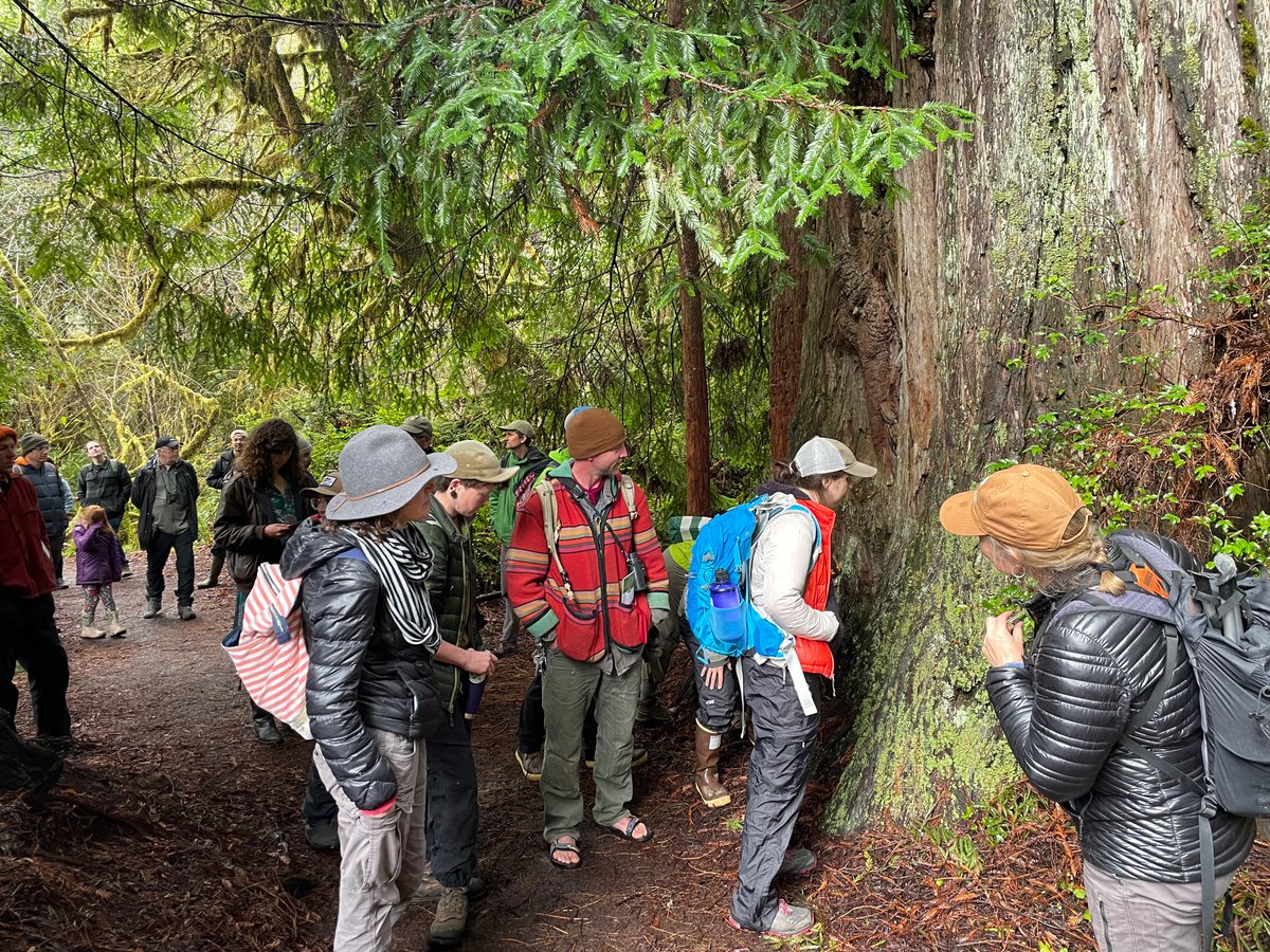 Texosporium's tweet photo. Spent the last few days at my first in-person conference in > 2 years—so reinvigorating! It doesn’t get much better than a joint meeting of two lichen societies. Getting out in the field with lichen comrades was the best #CAlichens #NorthwestLichenologists https://t.co/08E1Fnzlcr