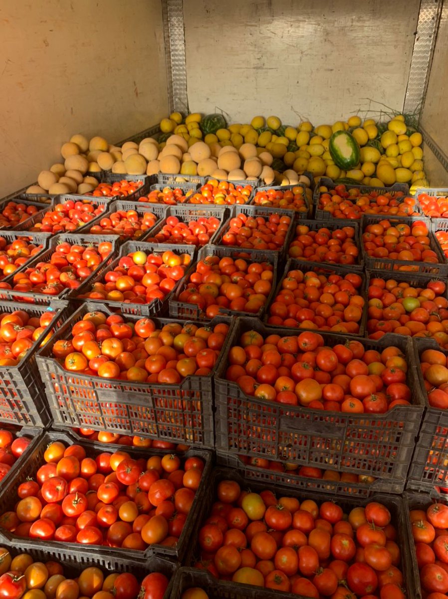 Prodefi_Mr's tweet photo. La théorie du changement de #PRODEFI en marche. En l'occurrence #4P. Une production importante en Pastèques, melons et tomates au niveau de la #SMCF
#IFAD
#ASAP
#ODD2030 https://t.co/zxn9buBjcz