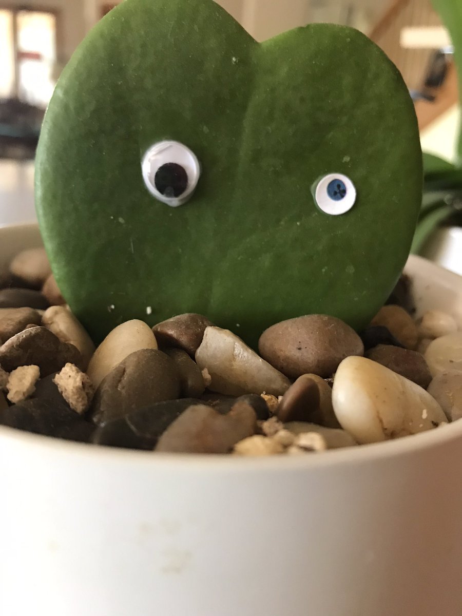 Erin Dealey ☮️ 🌎 also on Insta & 🦋 tweet media