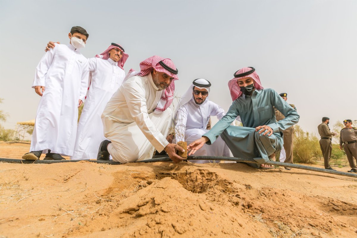 BFA20191's tweet photo. 2️⃣🌳
 وأشار المشرف العام على فرع وزارة البيئة والمياه والزراعة ب #القصيم على أن التوعية البيئية بالمنطقة تواصل جهودها في كل مبادرة من مبادراتها بقيادة سمو أمير المنطقة وتعزيز الحفاظ على البيئة وتحقيق جميع أهدافها التي أصبحت واقعاً بوصولها إلى أرقام قياسية, كاشفاً على أن المراحل https://t.co/5IPF5cdo0p