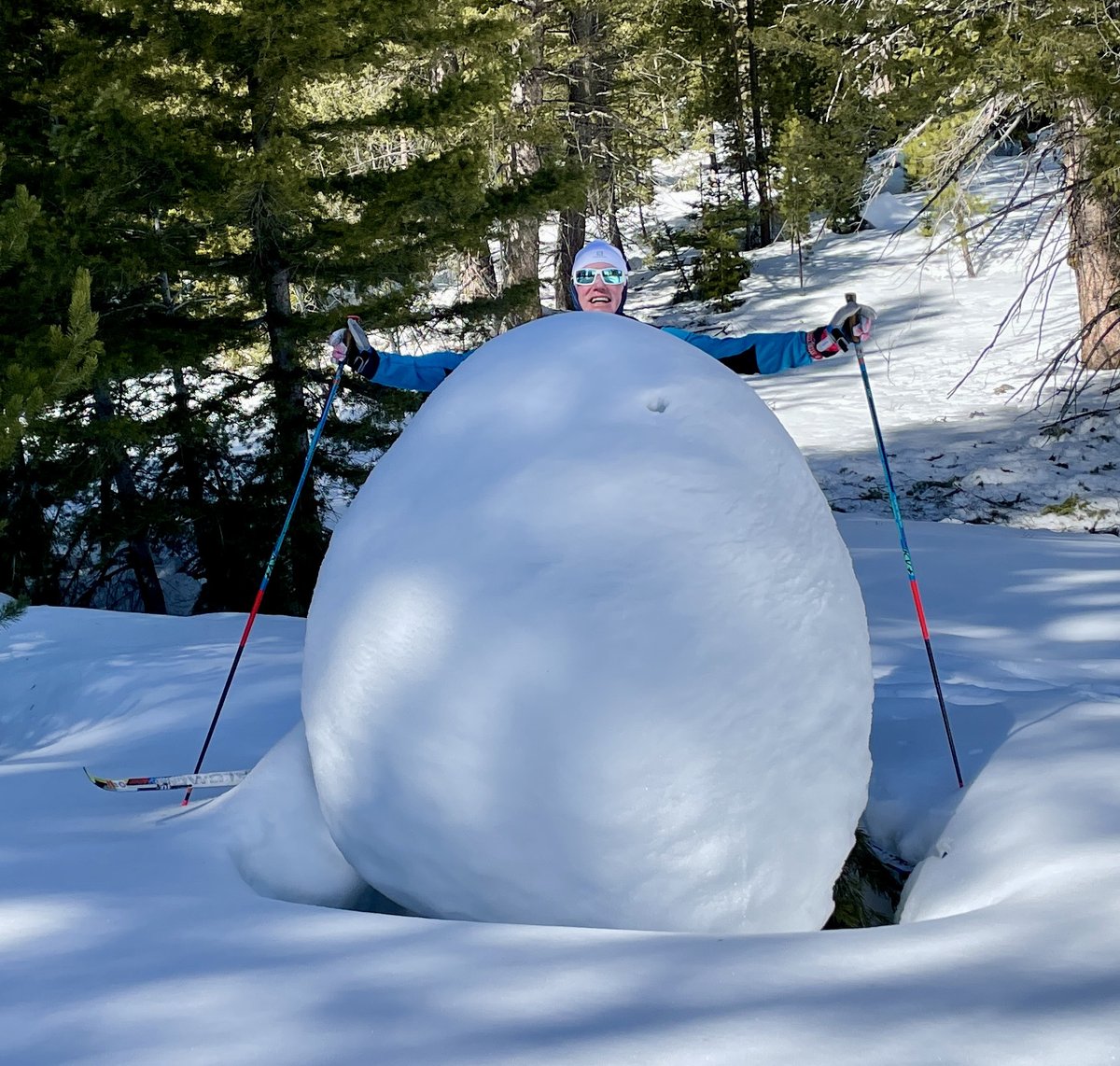 Bumble_and_Bee's tweet photo. bumble imitates a snow person https://t.co/bPg8RXMdyM