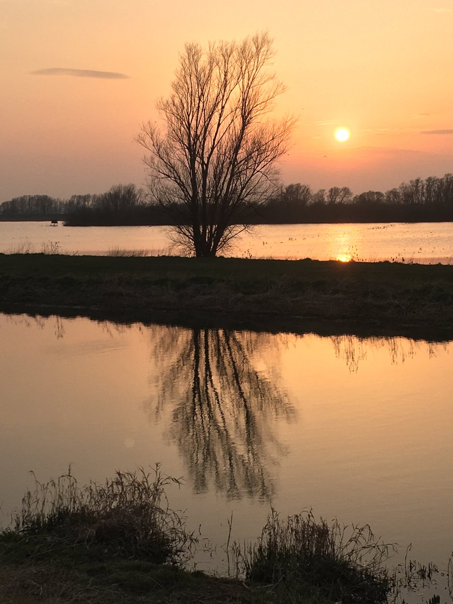 mutley7781's tweet photo. 👀 #Sunset - #FenEdge #TheFens
Evening #reflections -
#SuttonGault #Cambridgeshire
• The Hundred Foot Washes in deliberate Winter flood
• a solitary tree
• New Bedford River (1652) taking some of the diverted waters of the River Great Ouse. https://t.co/eUqJoc4lW6