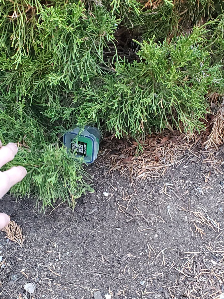 Trystan Blank tweet media