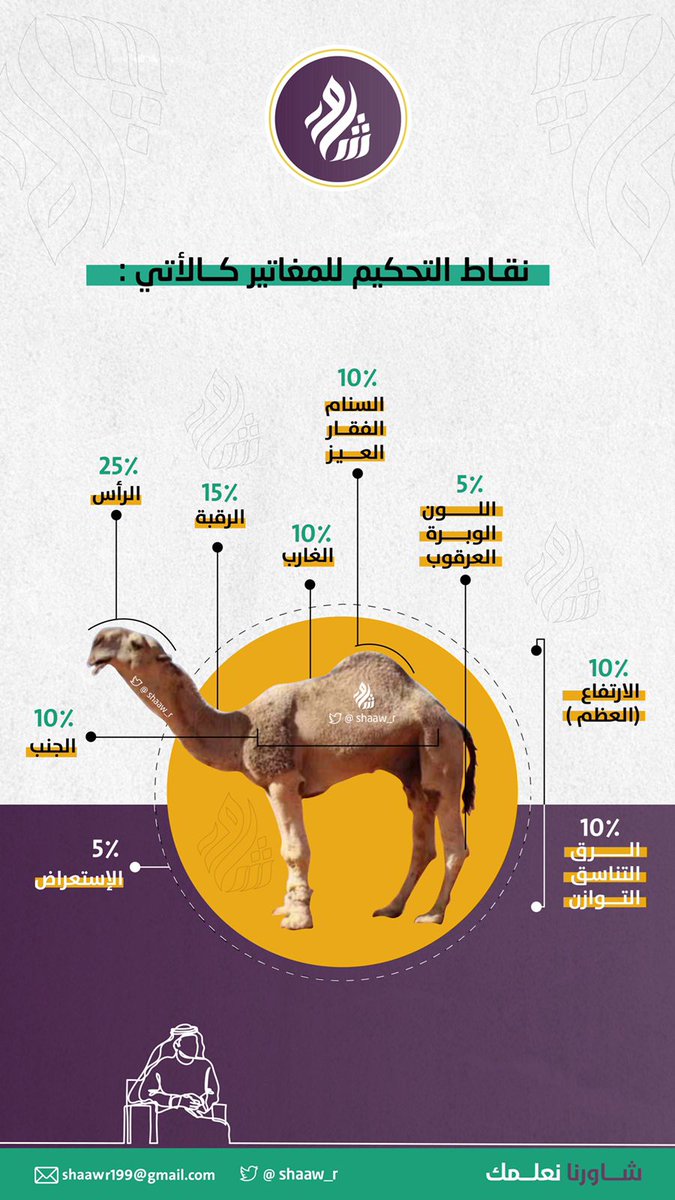 shaaw_r's tweet image. نقاط التحكيم بين ايديكم  😍👋