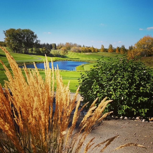 ⛳️Retweet if you can't wait to GOLF!
Are you looking for a great course to host your company or charity golf tournament?  We are here to help! 
email gm@theranchgolf.com for our tournament package.  

#yeggolf #GolfLifeAB #YEG