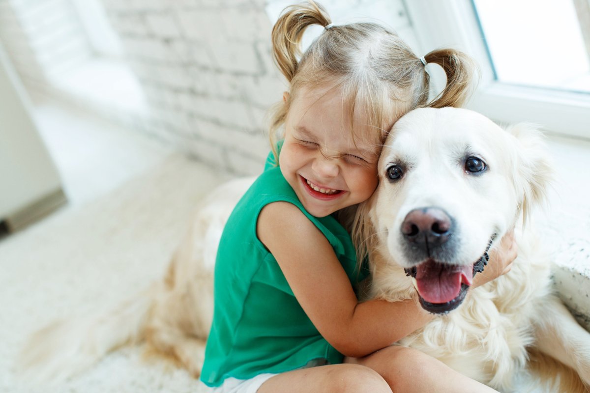 Alevesque's tweet photo. This is the me inside evert time a hug a dog. This looks like Minnie my Grandpup who is also a hugger and almost as tall as I am when she stands up 
#BHGRE https://t.co/WbePi53y8N
