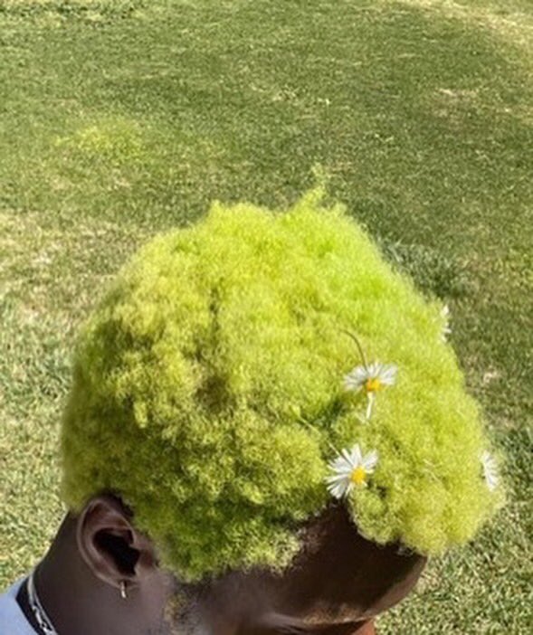 viteloii's tweet photo. Father Nature 🌱💚 https://t.co/Wt03zNnUWg
