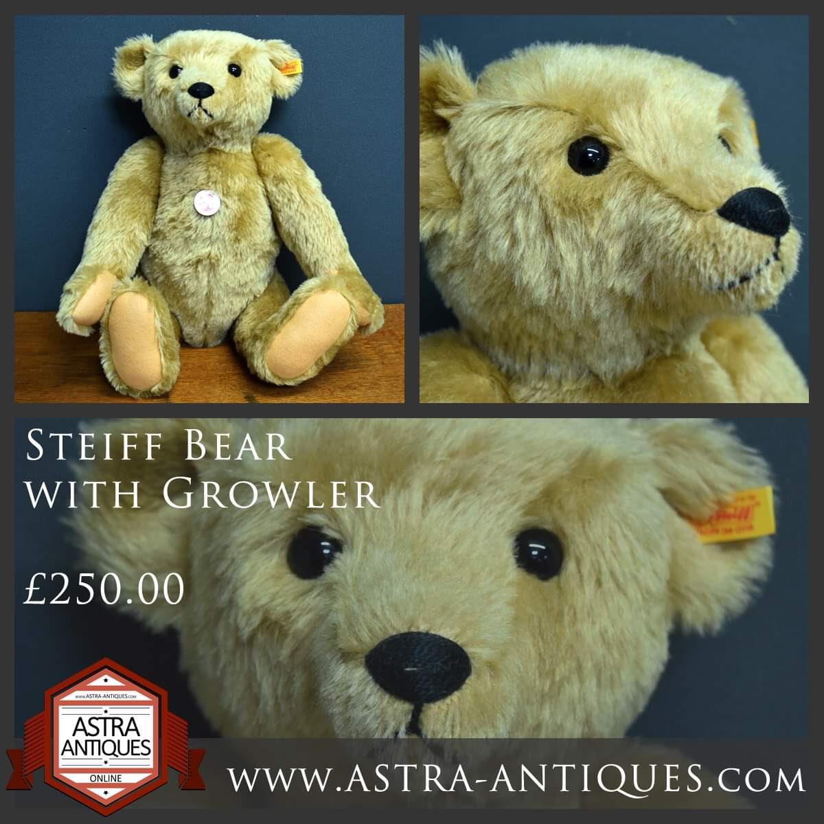 astraantiques's tweet photo. New to the website,this lovely #steiff #bear https://t.co/ytHtc0PapG #steiffbears #classicbear #steiffcollectors #steiffbear #steiffteddy #astraantiquescentre #hemswell #lincolnshire https://t.co/sh7RXKfgxa