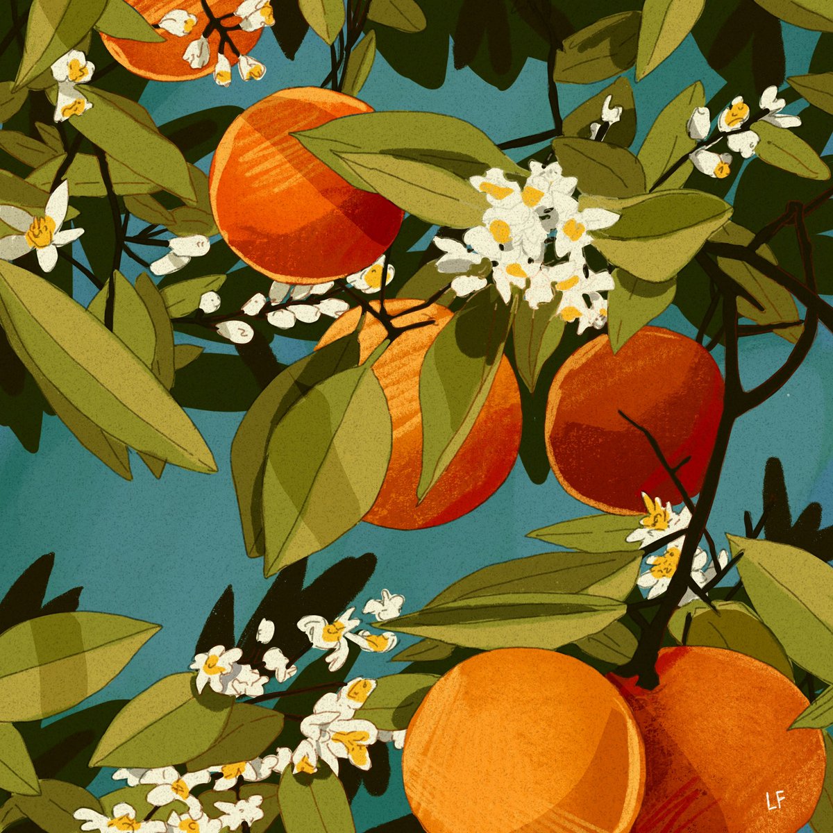 「Oranges phase from a bit ago 」|Libbyのイラスト