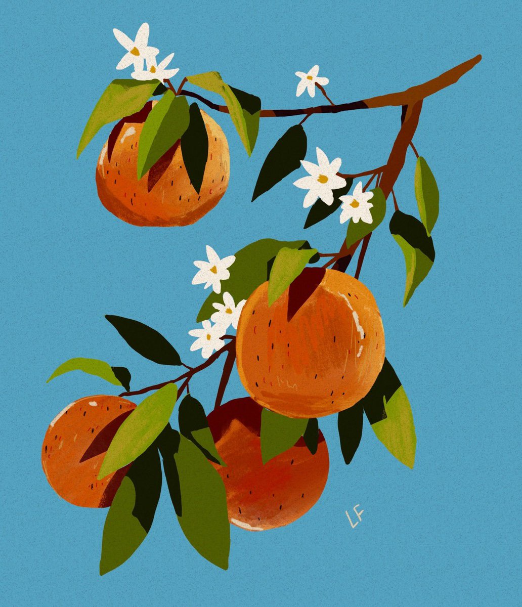 「Oranges phase from a bit ago 」|Libbyのイラスト