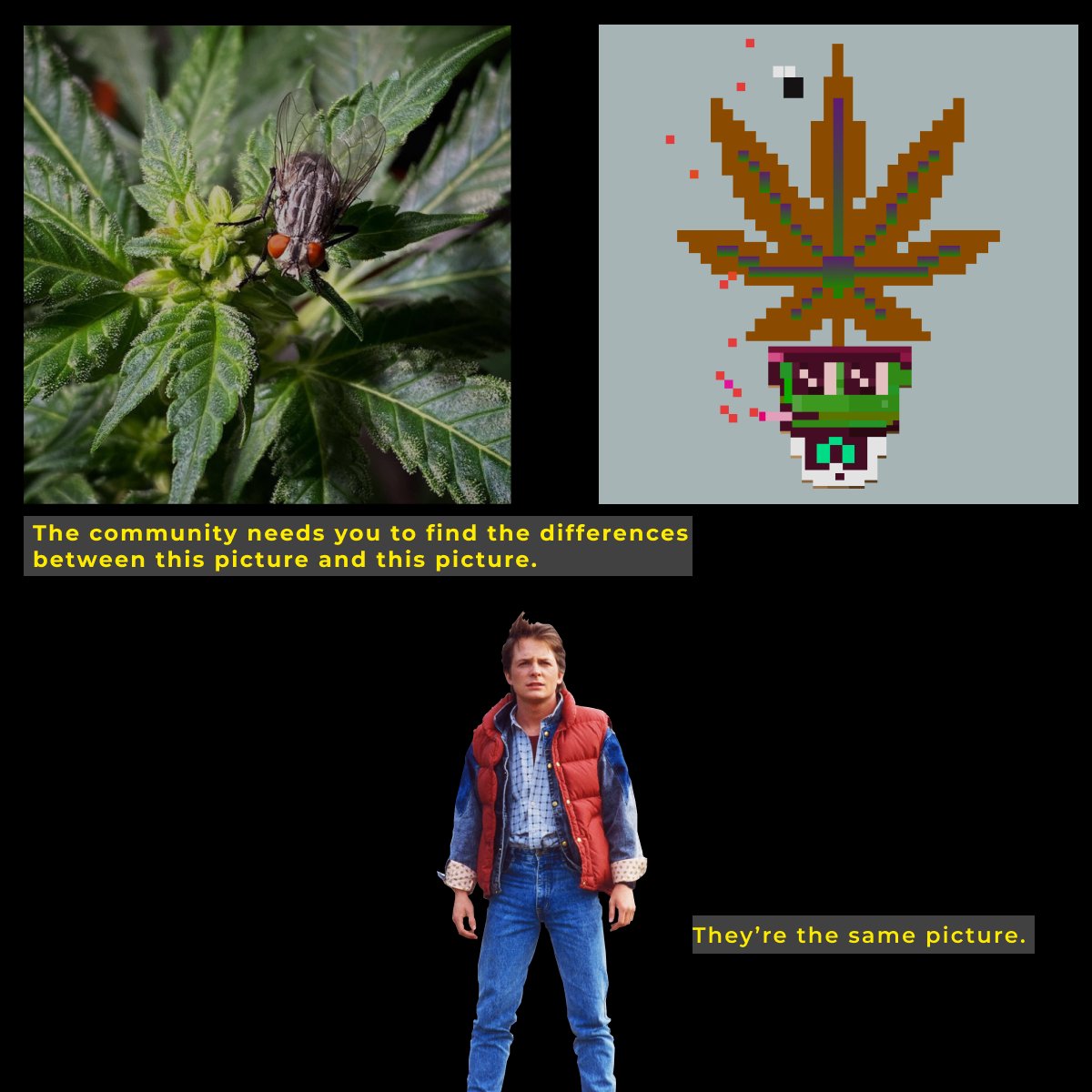 Ethybuds NFT tweet media