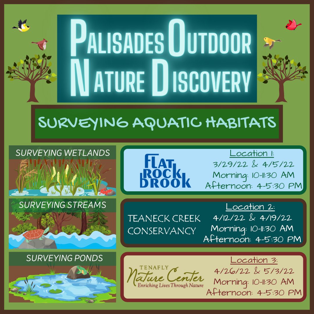 flatrockbrook's tweet image. Looking to enrich your child's After School or Homeschool experience? Register for the Palisades Outdoor Nature Discovery! During this multi-location program, students will survey wetlands, streams, and ponds to learn more about these aquatic habitats! ow.ly/yFTI50IoEs8
