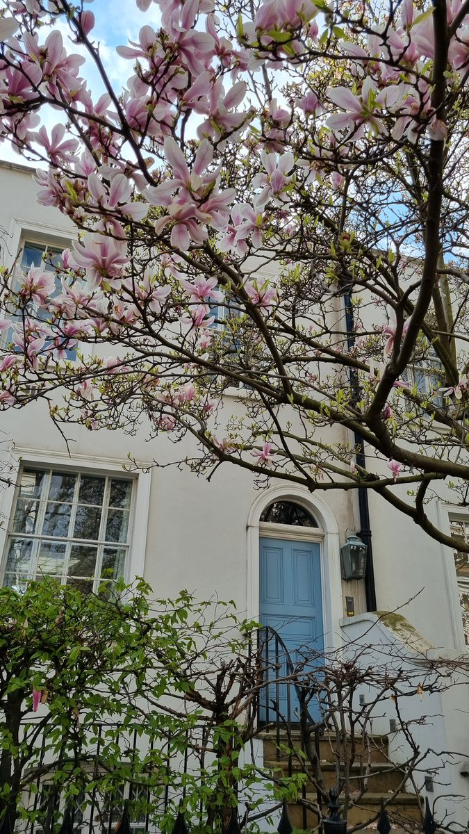 simplyrasha's tweet photo. London in bloom 🌸

My favourite time of the year! https://t.co/RziEhkHvuq