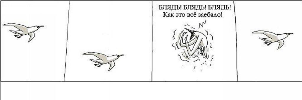 chego_nado's tweet photo. Никогда не перестанет быть актуально https://t.co/KQpFe4GW0y