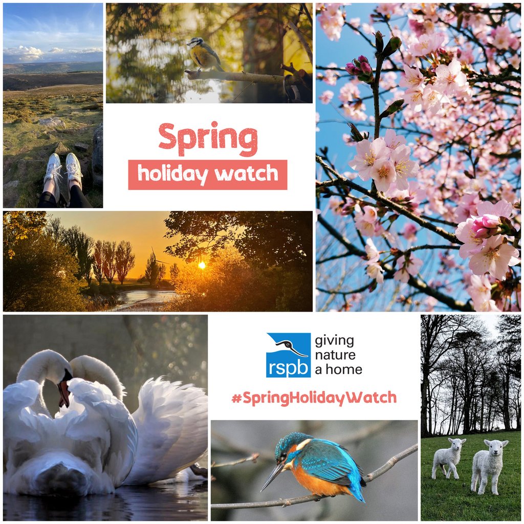 holidaycottages.co.uk tweet media