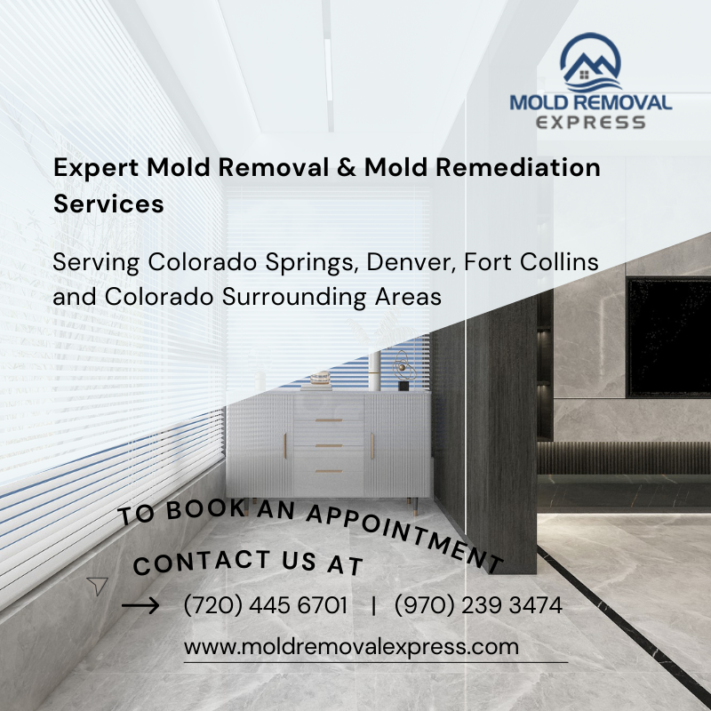 MoldRemovalXP's tweet photo. Expert Mold Removal and Mold Remediation Services. Serving #ColoradoSprings, #Denver, #FortCollins and Colorado Surrounding Areas. Our local professionals have years of experience in identifying and removing toxic mold. 

Contact us today to book an appointment (720) 445 6701. https://t.co/2AIZMi1jSD