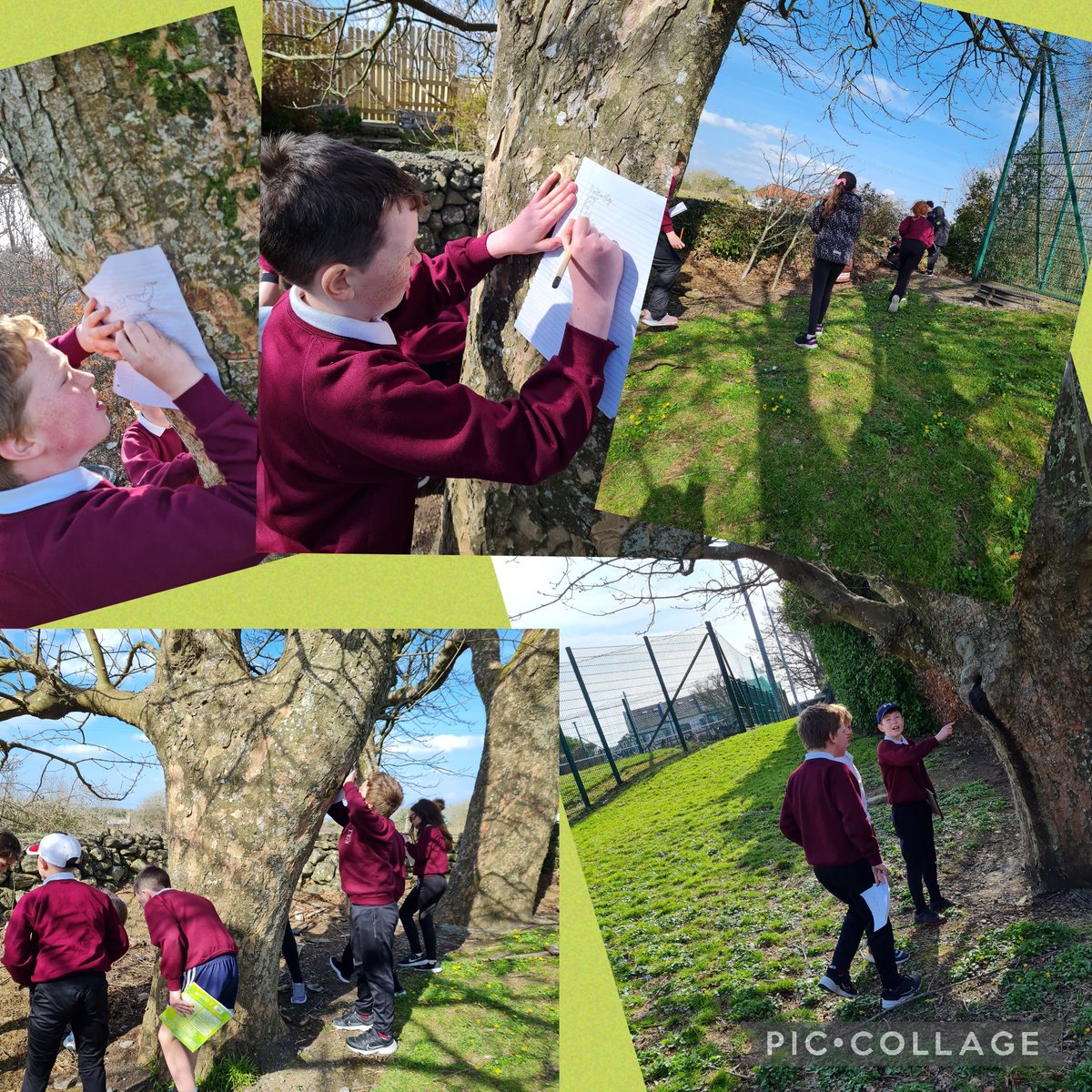 RangMsharrison's tweet photo. Lovely day for exploring our local #habitat #garden @kinvarans 
🐛🦋🐌🐝🐞🕷🦠🪰 https://t.co/nhHytaSqvw