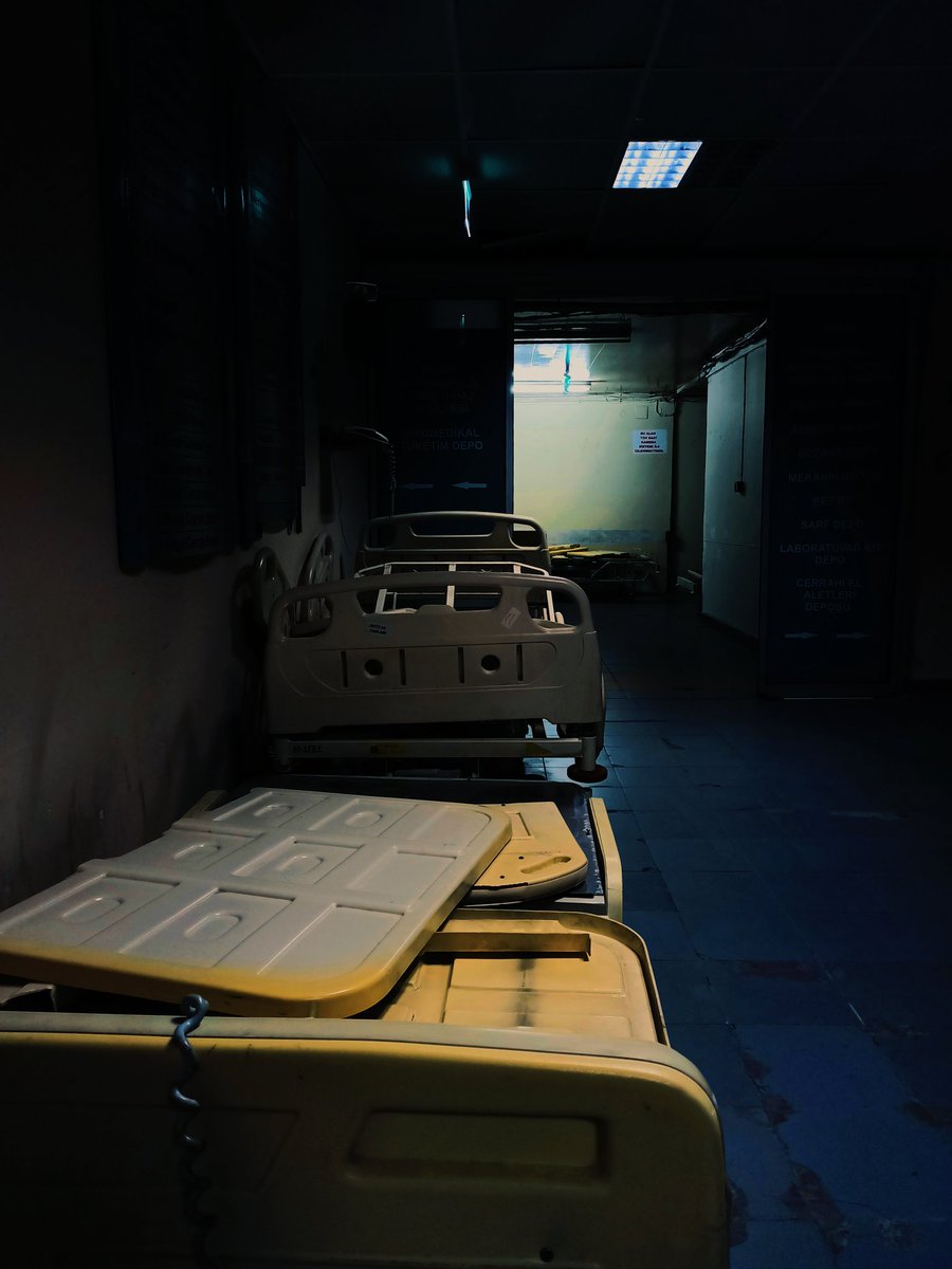 oldschoolalibi's tweet photo. Is yellow the color of madness? 🐝 https://t.co/pquJUtEFZf