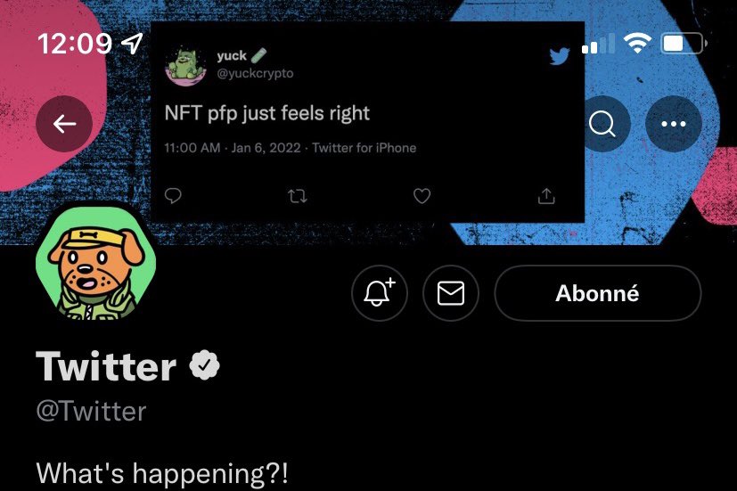 JmsOG_NFT's tweet photo. Happy birthday to @Twitter 
#DogsofTwittter #CoolDogs https://t.co/d1G2at0R1V
