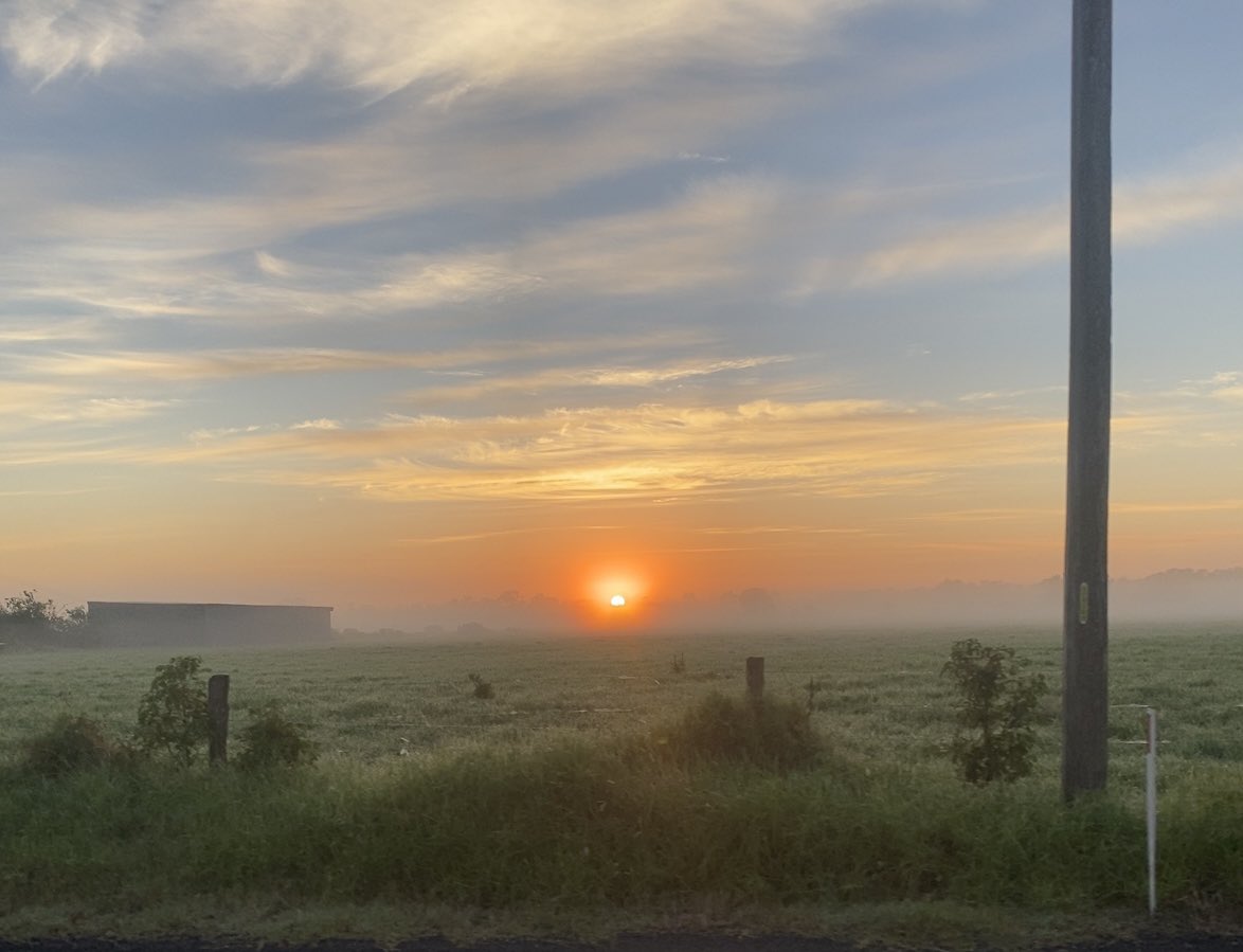 PWrightSmith's tweet photo. @SMEEAndrew An hour or so late and from a land perspective. #farm&amp;fog https://t.co/PmajT8Nc2X