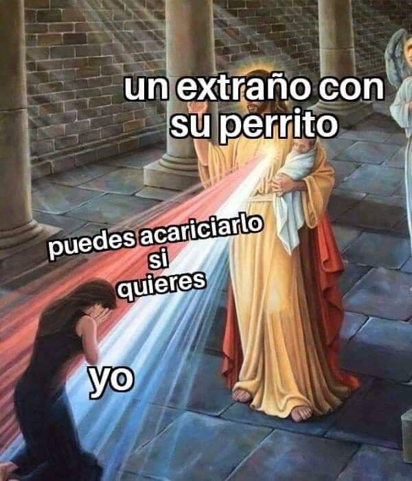 no me llamo vicenta (@kansaita_) on Twitter photo 