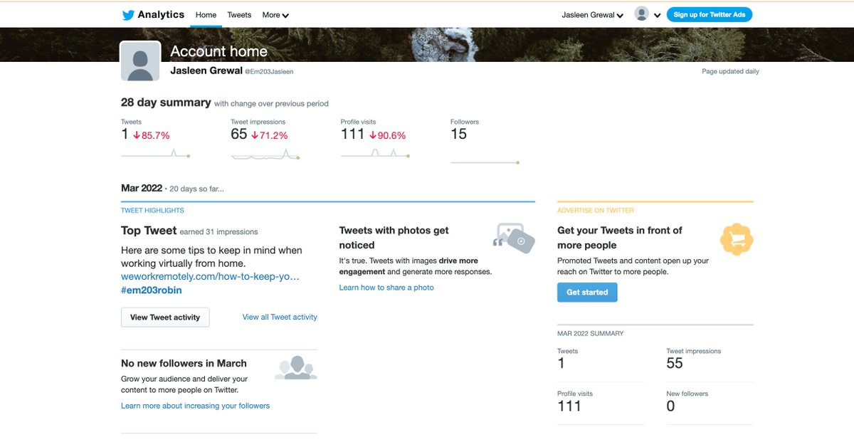 Em203Jasleen's tweet photo. Here is my Twitter analytics for the month of March #EM203Robin https://t.co/xUuvFyg005