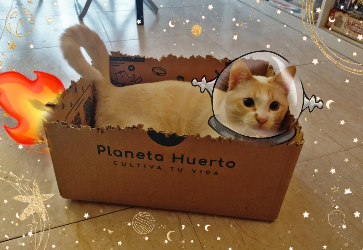ladaaana's tweet photo. Mirad lo que hace mi hermano Vico con las cajas de @PlanetaHuerto. Se ha tomado al pie de la letra lo de "Desata la imaginación" y ahora quiere viajar más allá de Plutón. https://t.co/eQlMOSvDZI