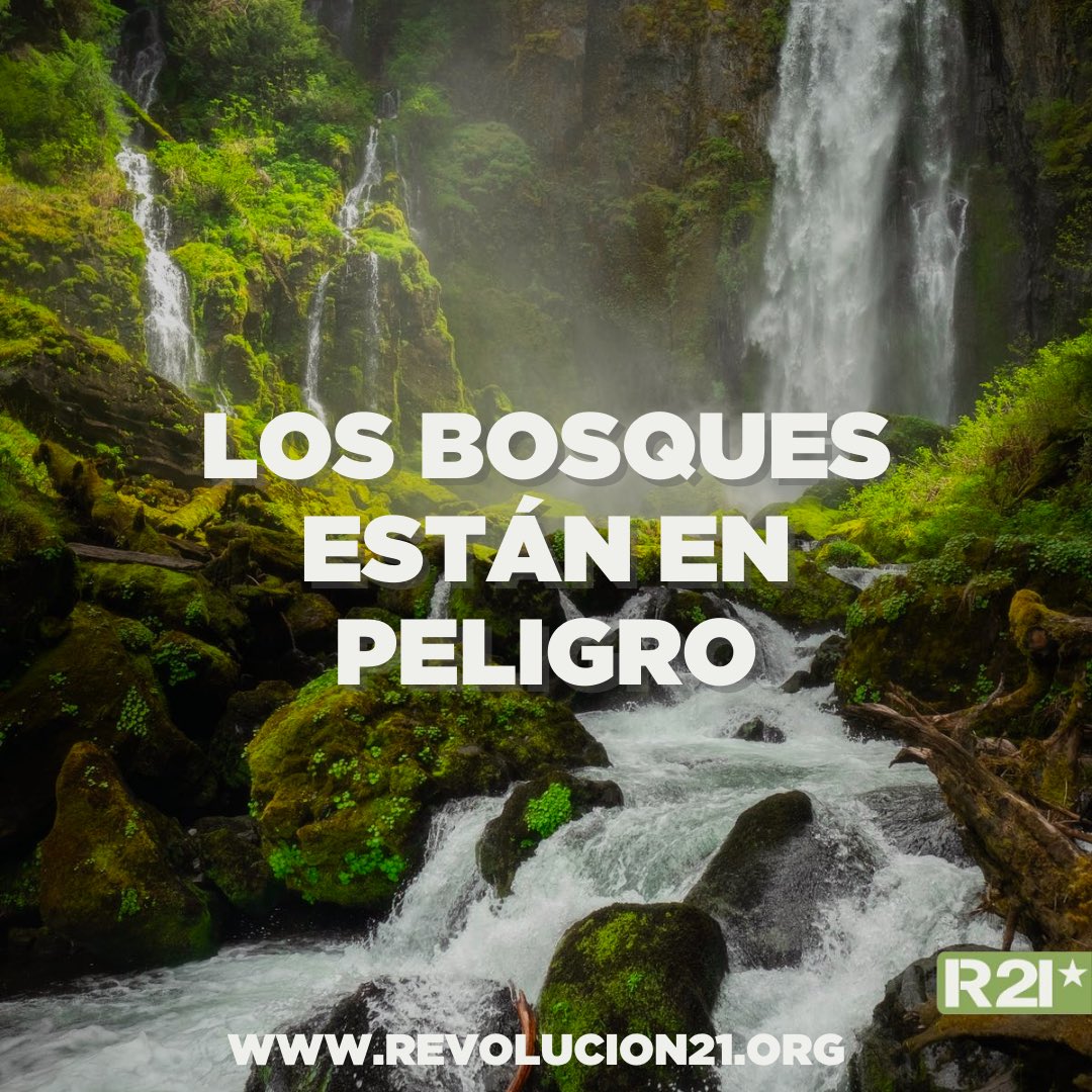 Hoy es 21 de marzo 🌲 Día Mundial de los bosques 🌲

Fundamentales para contrarrestar el cambio climático ya que son reguladores del clima, los bosques cubren cerca del 31% de la superficie de la Tierra y contienen más de dos tercios de las especies del mundo. 

<a href="/CharlyAlberti/">Charly Alberti</a>