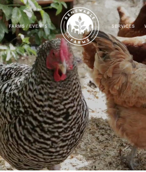 Kathleen Stoehr tweet media