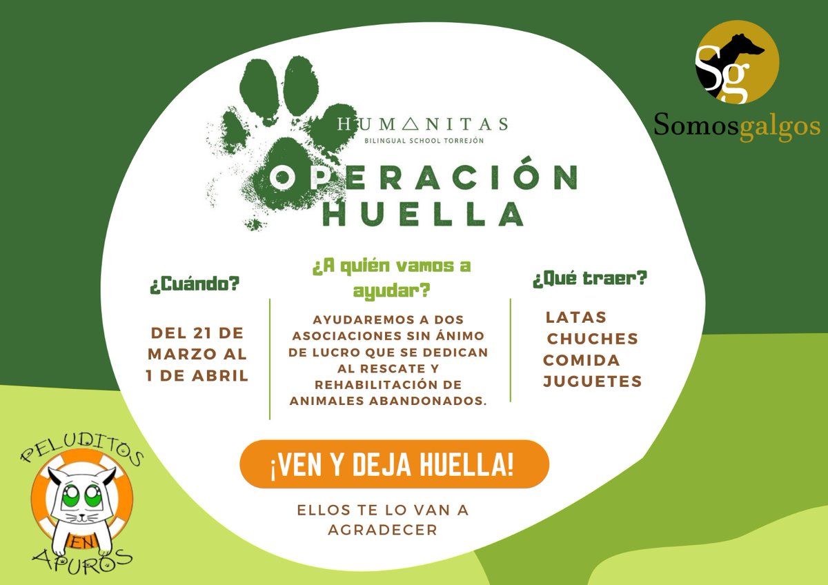 RbkTeacher tweet media