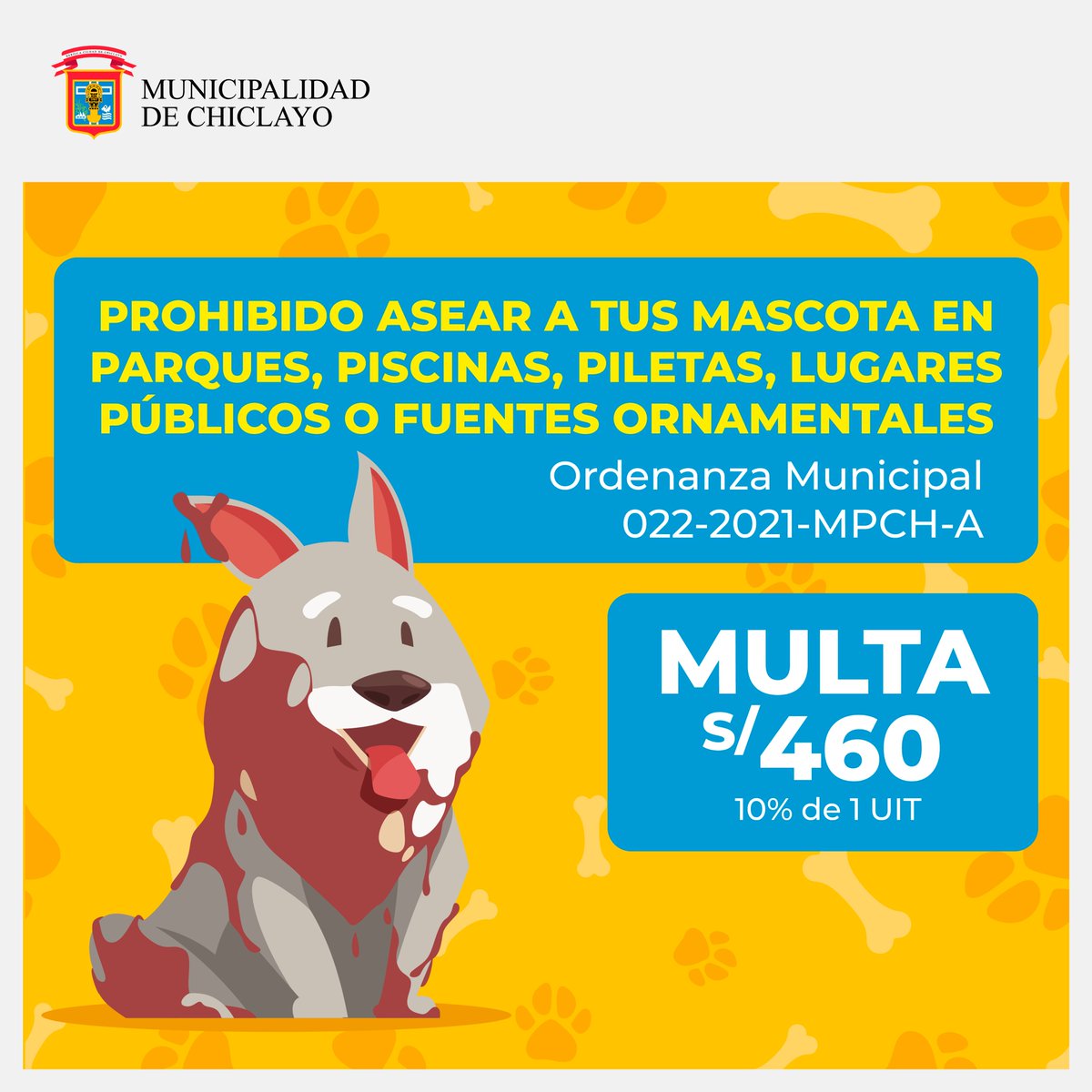 Cuando adoptar también es viral: influencers y protectoras se unen en  Mazagón por el bienestar animal, image size:1200x1200