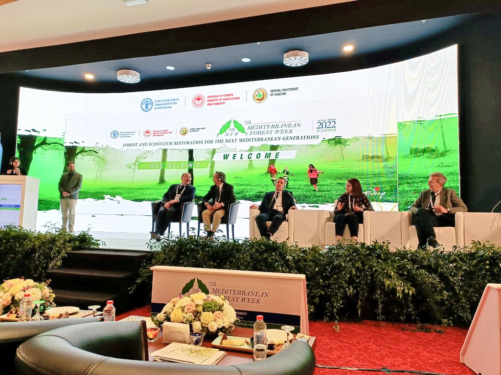 Thanks <a href="/efimedfacility/">EFI Mediterranean Facility</a> for the invitation to join the debate <a href="/medforestweek/">Mediterranean Forest Week</a> and to contribute to the plenary session: #NWFPs for people, nature &amp; the green economy Recommendations for policy priorities in the Med
<a href="/CREDA_UPC_IRTA/">CREDA</a> <a href="/ctforestal/">CTFC</a> <a href="/Incredibforest/">IncredibleForest</a> #Medforestweek2022