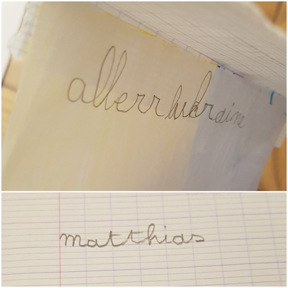 <a href="/LeReveUkrainien/">Le Rêve Ukrainien</a> @vtyok Mon fils de presque 6 ans, Matthias, est revenu de l'école avec cette oeuvre, qu'il a réalisée seul et de sa propre initiative. Voilà, on pense fort à vous.💙💛🇺🇦