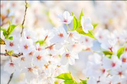 Spring #1 Session- Virtual Classes register online! - mailchi.mp/87b5b1df464f/w…