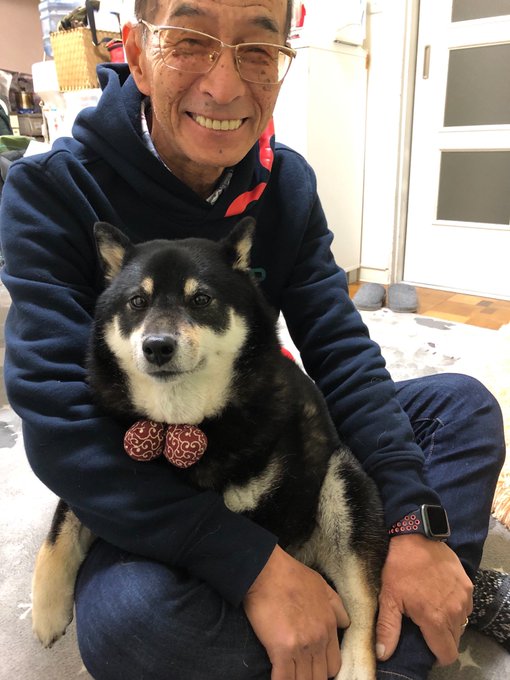 犬好き 高画質 のtwitterイラスト検索結果 古い順