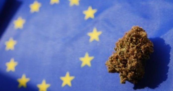 Did the Ukrainian war cause weed prices to soar across Europe? onlineweednews.com/2022/03/21/did… #cannabis #news #war #Ukraine #Europe #prices #weed #marijuana #CannabisNews #OnlineWeedNews