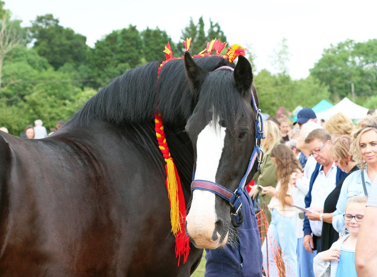 AnimalsRMagic2's tweet image. Animal R Magic is back! Sunday 17th July 2022 at Jinney Ring Craft Centre, Hanbury, B60 4BU. A charity funday that’s all about raising money for local animal charities: novelty dog show, demos, animal-themed stalls. 
#worcestershirehour #jinneyringcraftcentre #shire #dogshow