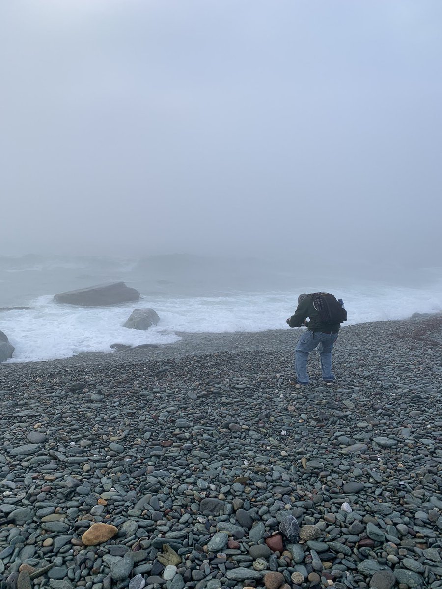 LemonMartini2's tweet photo. Early morning filming at #sachuestpoint for our latest #documentary! #outdoors #nature #wildlifephotography #wildlife #wildlifephotography #rhodeisland https://t.co/9am9ZH1g0W